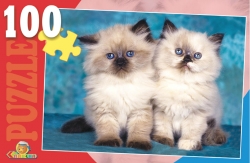 Пъзел 100 елемента с котета
