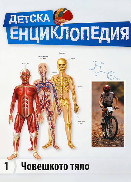 Детска енциклопедия - Човешкото тяло
