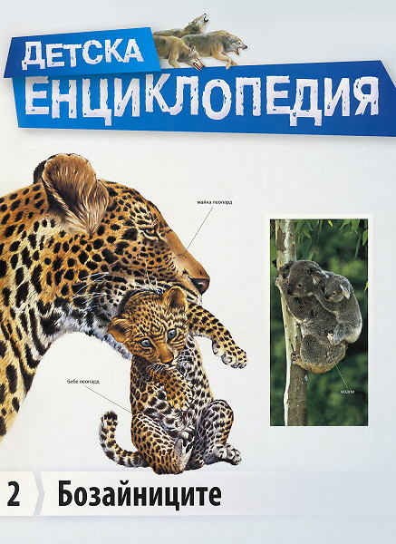 Детска енциклопедия -  Бозайниците