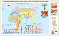 Начало на човешката история. Старокаменната епоха (Палеолит) - стенна карта