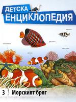 Детска енциклопедия -  Морският бряг